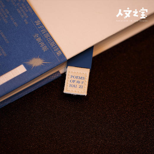 【人文之宝】海子系列黄铜书签 商品图2