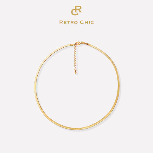 Retro Chic 意大利复古创意饰品  复古蛇骨链 商品图0