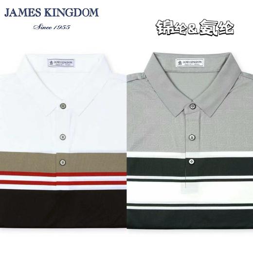 占姆士短袖POLO衫男士夏季新款翻领T恤休闲青年上衣条纹 商品图0