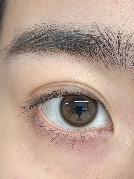 Bariecat日抛·晨光棕环·14.0mm中等着色·10片日抛 商品图1