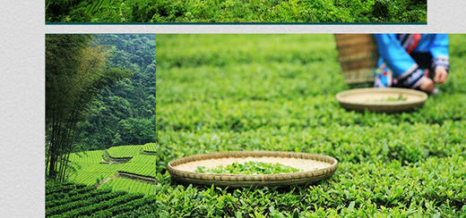 汉口茶厂 宜红工夫经典一级红茶 160g 商品图3