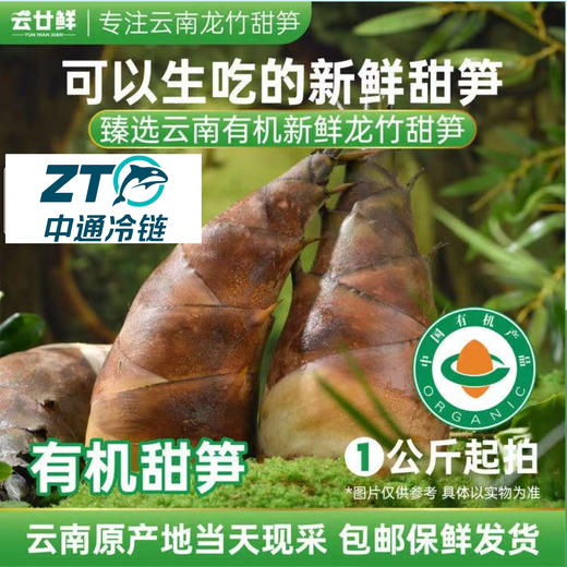 【蓝笑】有机甜笋约4斤装 天然有机，纯净生长​，营养丰富，低卡轻食 商品图0