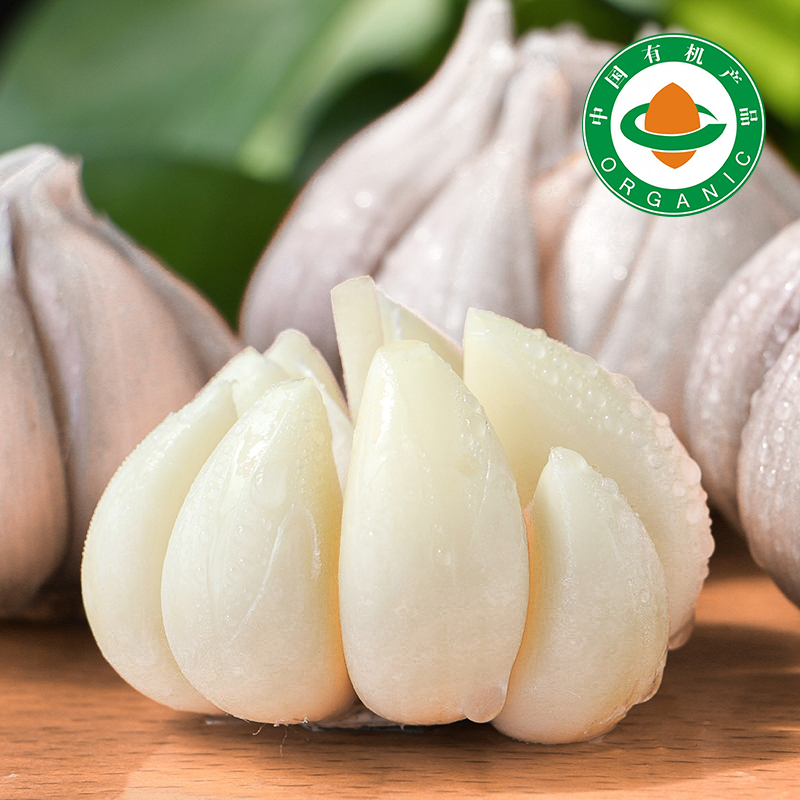 云南有机高原白蒜 大蒜蒜瓣鲜嫩多汁制作糖蒜基地直发