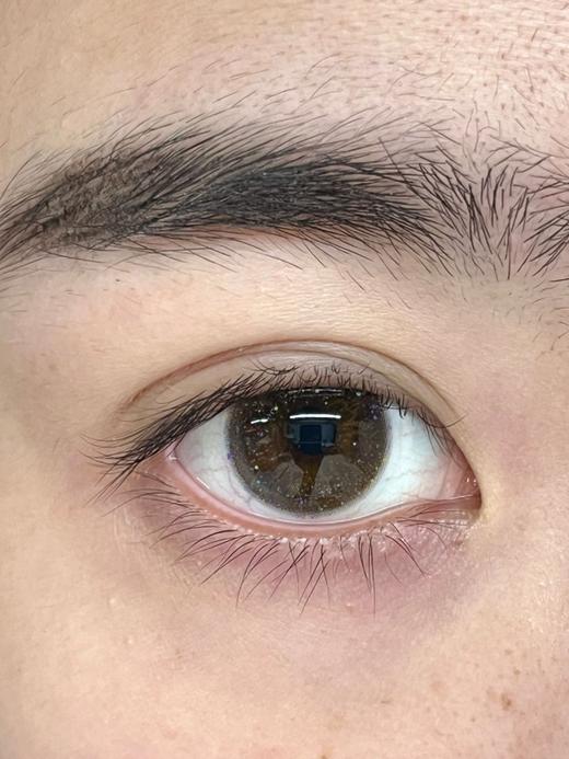 Neucake旗下 ·金鱼姬&星星雨&梦痕神洒· 14.2mm白狮参考着色中大直径 半年抛2片 商品图1