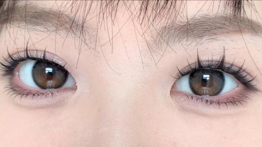 Bariecat日抛·日落金桔·14.5mm中大着色·10片日抛 商品图2