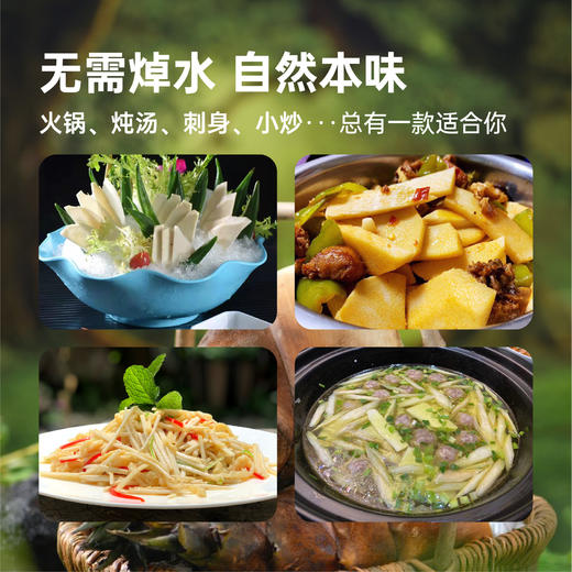 【蓝笑】有机甜笋约4斤装 天然有机，纯净生长​，营养丰富，低卡轻食 商品图2