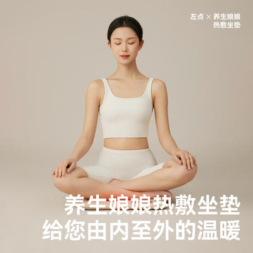 【秒杀】左点养生娘娘热敷坐垫NN-RZD-6 商品图1