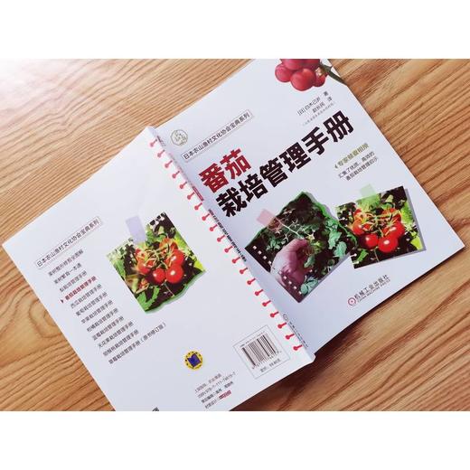 官网 番茄栽培管理手册 白木己岁 番茄栽培宝典 番茄栽培 栽培技术书籍 商品图2