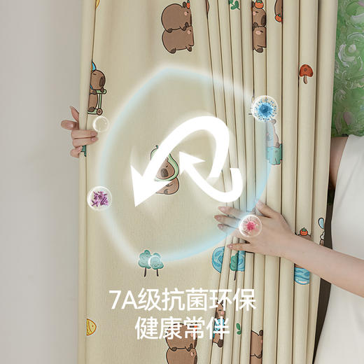 【水豚宝宝】金蝉雪尼尔儿童房窗帘 商品图2