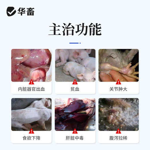 华畜25%维生素C可溶性粉 预防应激 提升免疫力 进口溶剂 吸收更好 禽兽水产用 商品图1