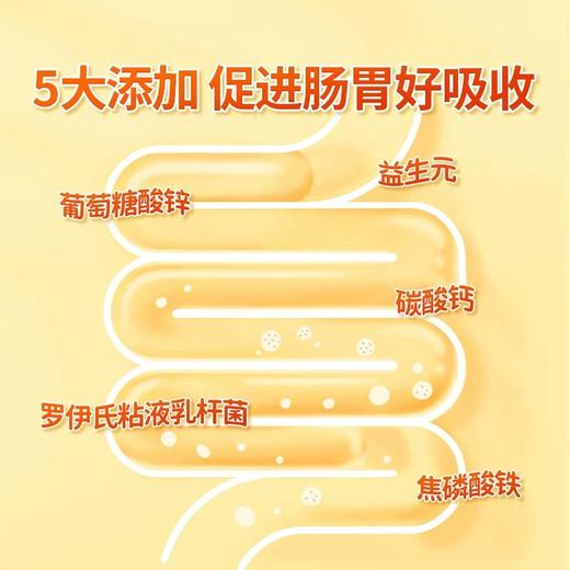 热卖中！！【北京同仁堂益生元猴头菇山药粉】 12种药食同源原材 添加益生菌 养胃营养早餐 香浓软糯米糊老少皆可650g/罐 商品图3