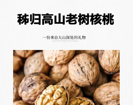 鑫勇泰  秭归高山老树核桃礼盒 1.5KG 商品图2