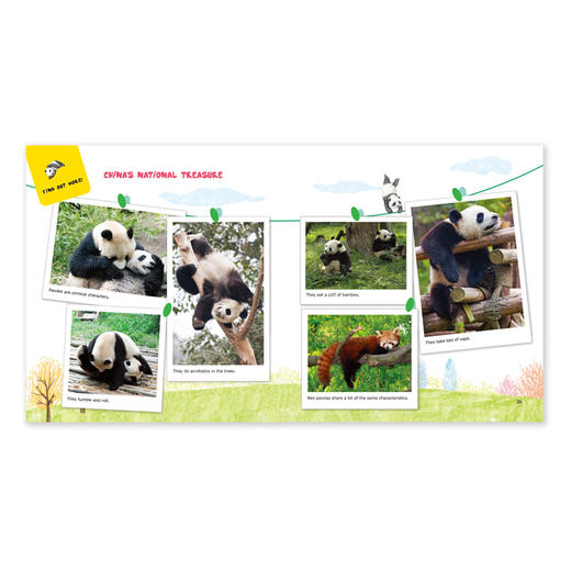 宾果儿童自然科学第一辑（20本） 商品图4