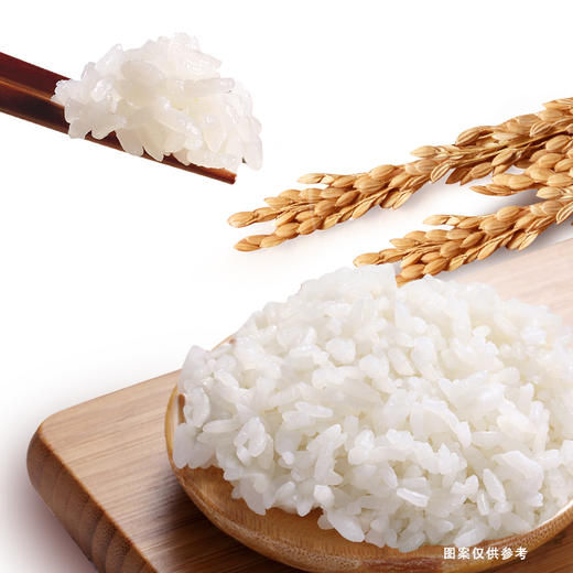 金龙鱼长粒香东北大米5KG 商品图4