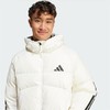adidas阿迪达斯 男羽绒服 JG3838 商品缩略图4