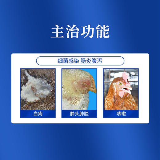 华畜兽药阿莫西林片500片/瓶 消炎抗菌拉稀咳嗽 商品图1