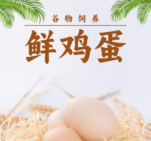 鑫勇泰 高山谷物鸡蛋 30枚 商品图1