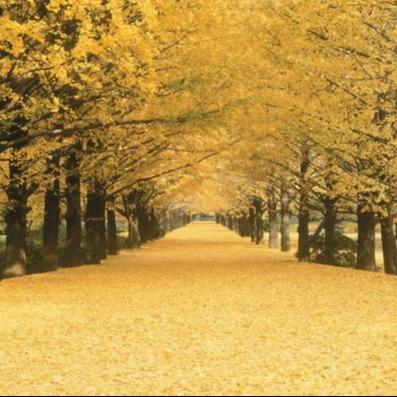 测试转码 商品图0