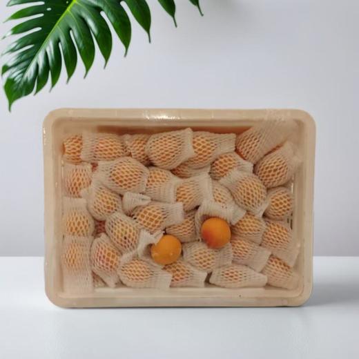 树上熟吊干杏 1500g/份 商品图3