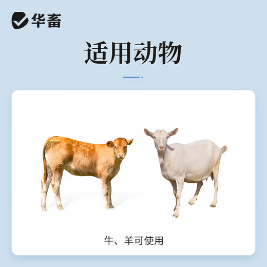 华畜5%氯氰碘柳氨钠注射液10ml*10支 肝片吸虫 牛羊驱虫药 商品图2