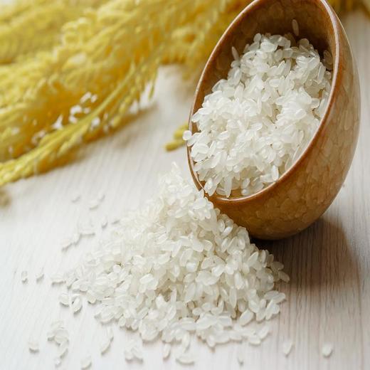 光明谷锦月月鲜2.5kg 商品图3