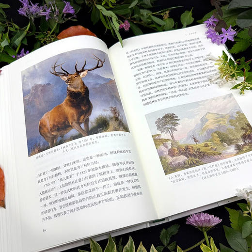 魔法森林：诗意地构建时间开始之前的世界（森林是自然的圣殿、神话的温床、人类集体潜意识的暗涌）（美）博里亚·萨克斯 著 商品图6