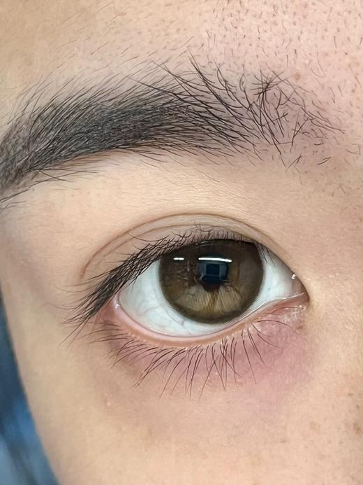 Bariecat日抛·小甜酒·14.2mm中等着色·10片日抛 商品图6