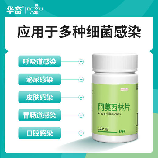 华畜狗狗猫咪感冒药打喷嚏流鼻涕猫鼻支治疗专用消炎药阿莫西林片 商品图1