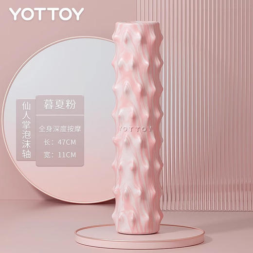 yottoy 加强款仙人掌泡沫轴 商品图0