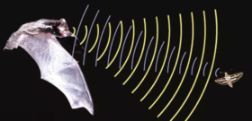 【奇遇周末】城市夜巡记—感受大自然的摩斯密码