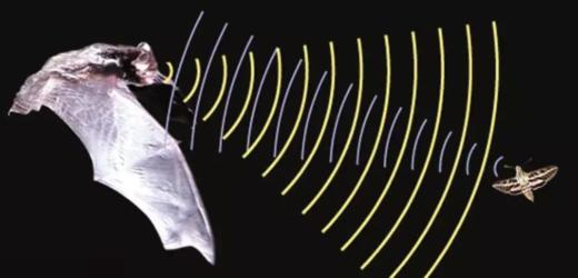 【奇遇周末】城市夜巡记—感受大自然的摩斯密码 商品图0