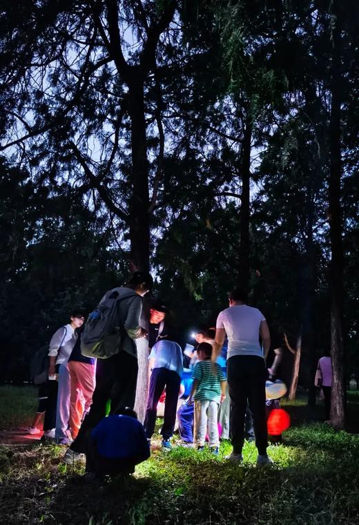 【奇遇周末】城市夜巡记—感受大自然的摩斯密码 商品图4