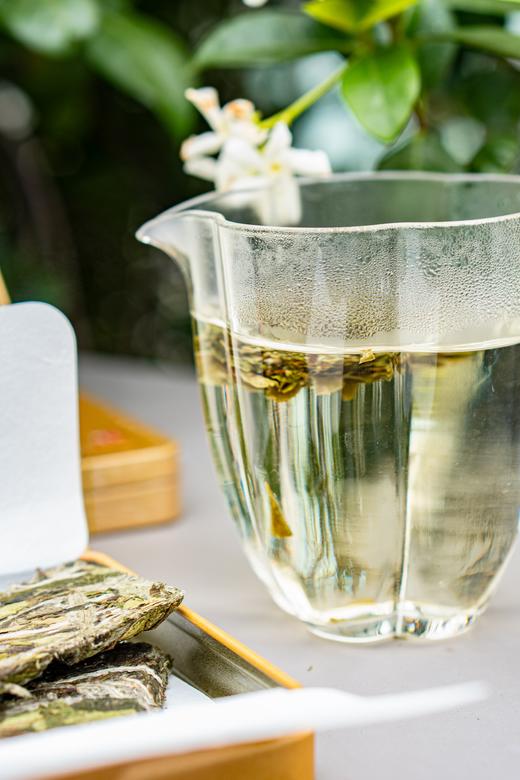 【有机认证】福鼎白茶洪大师臻品有机白茶——白牡丹·红寿眉 商品图7