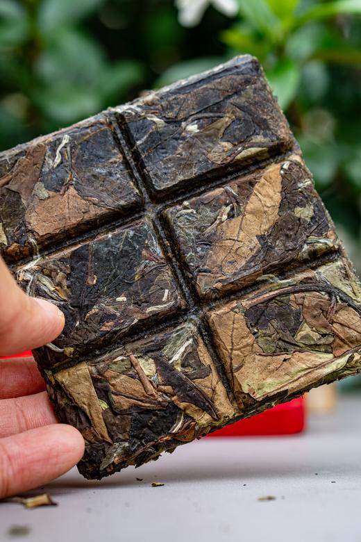 【有机认证】福鼎白茶洪大师臻品有机白茶——白牡丹·红寿眉 商品图6