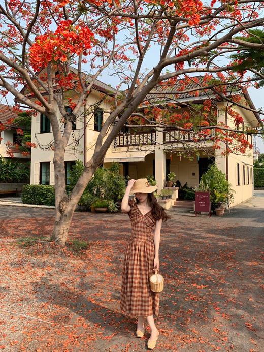 金蘑菇菇 水果篮子 小红裙 /长短款复古耐看v领泡泡袖格子连衣裙 商品图2