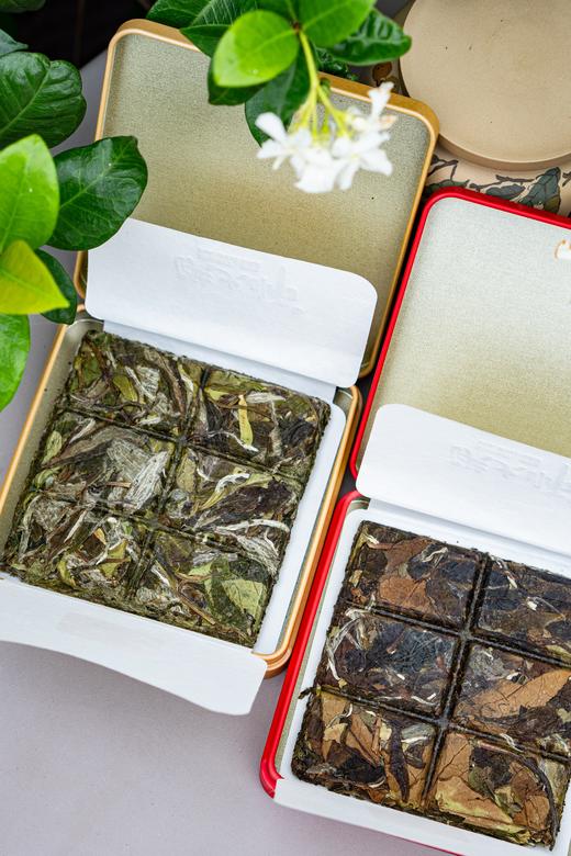 【有机认证】福鼎白茶洪大师臻品有机白茶——白牡丹·红寿眉 商品图5