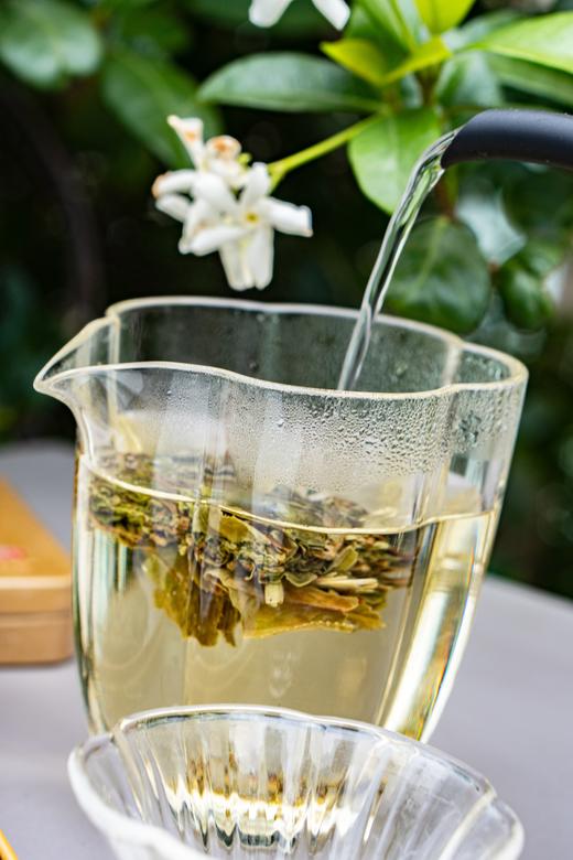 【有机认证】福鼎白茶洪大师臻品有机白茶——白牡丹·红寿眉 商品图8