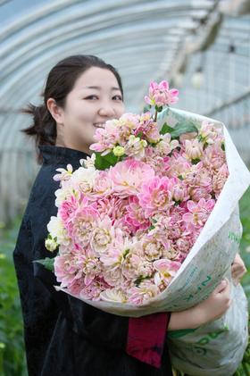 【基地探访】-大丽花基地探访日记