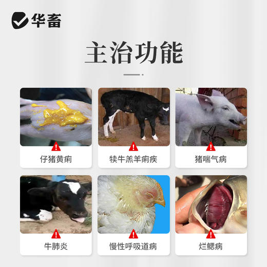 【积分兑换】华畜土霉素片兽药兽用猪龟鱼用水族鸡鸭鹅羊宠物猫狗用腹泻拉稀消炎药 商品图1