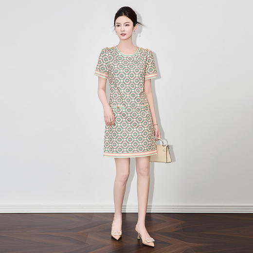 「高货wl」全新升级【铂金会员293/天猫389/差价96】(35156)洛诗琳气质印花连衣裙2025夏季新款时尚圆领显瘦直筒裙 商品图0