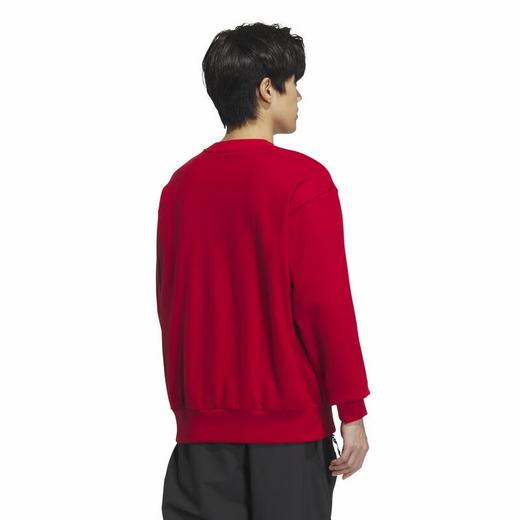 adidas阿迪达斯 男卫衣 JM1003 商品图2