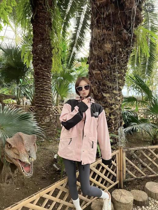 TNF北面1990冲锋衣 12色‼️The North Face 1990 Gore-Tex（MT） 商品图0