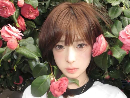 ocean girl  半年抛 甜心喵喵粉 直径14.5mm着色13.9mm 商品图5