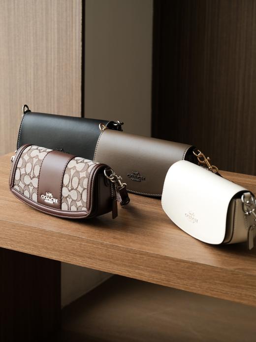 蔻驰 老家经典ANDREA单肩包腋下包小号（SS） 商品图1