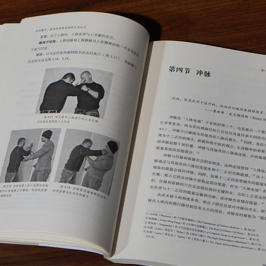 穴位格斗 源自古传武术的封气与打穴 商品图3