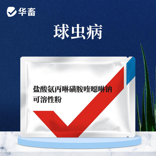 华畜盐酸氨丙啉磺胺喹噁啉钠可溶性粉 抗球虫病鸡鸭鹅球虫病专用药 商品图0