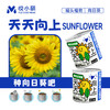 【2罐更划算❗绿植桌面罐头】网红办公室绿植桌面，易种易养活，体验植物生长乐趣，罐头植物幸运草向日葵种子儿童种植迷你小盆栽QQ 商品缩略图10