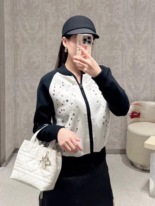 迪奥 25年限定生肖款 蛇年限定耳钉 幸运灵蛇耳钉（XTY） 商品图4