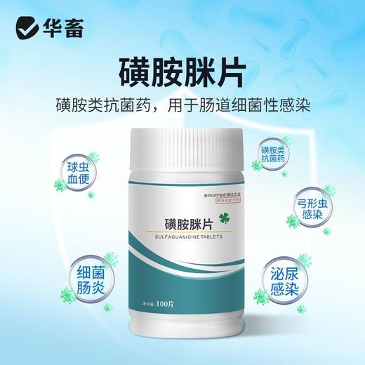 华畜磺胺脒片兽用痢疾肠炎血痢家畜肠道细菌性感染肠炎牛犊便血 商品图3