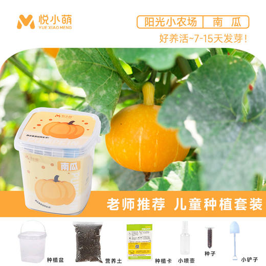 【科学种植❗植物生长观察盒】轻松种植好养活，让孩子感受生命的奇妙，提升动手能力，亲子互动，科学作业植物生长观察盒儿童种植迷你小盆栽幼儿园小学QQ 商品图11